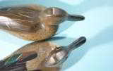 SUPERB PAIR OF WARD BROTHERS, CRISFIELD, MARYLAND PINTAIL DUCK DECOYS CA. 1930. - 9 of 9