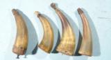LOT OF FOUR EARLY 19TH CENTURY PRIMING POWDER HORNS. - 3 of 3
