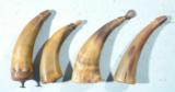 LOT OF FOUR EARLY 19TH CENTURY PRIMING POWDER HORNS. - 1 of 3