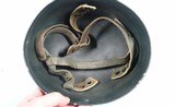 WW2 WWII GERMAN LUFTWAFFE PARATROOPER HELMET W/ORIG. CHIN STRAP. - 5 of 11