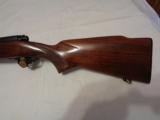 Winchester Pre 64 Model 70 Varmint .243 - 1 of 11