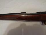Winchester Pre 64 Model 70 Varmint .243 - 2 of 11