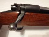 Winchester Pre 64 Model 70 Varmint .243 - 4 of 11