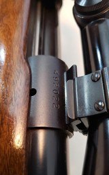 Winchester model 70 Westerner in 264 cal. (1960) - 13 of 14