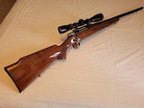 Fantastic BROWNING SAFARI 243 from 1967 - 1 of 15
