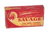 Savage Hi-Power 250-3000 Savage 100 Gr. - 20 Rounds