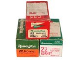 Remington Unprimed Brass Lot Mixed