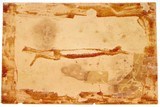 Manton and Company Early Gun Case Label - 2 of 2