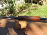 Winchester model 12 12 gauge Skeet ws-1 - 12 of 12
