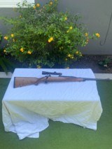 Ruger Safari Magnum 416 Rigby - 3 of 9