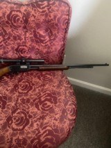 Winchester Mdl61 - 3 of 6