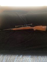 Remington 25/06 - 11 of 11