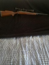 Remington 25/06 - 1 of 11