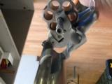 Smith and Wesson 629 Classic - 8 of 10
