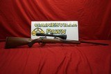 Ruger M77 338 win mag