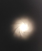 Ruger All-Weather 77/22 22 LR - 11 of 11