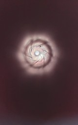 Colt Single Action Army 1st Gen 32 WCF - 8 of 12