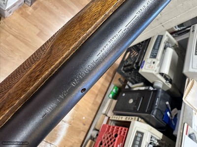 Pre-64 Winchester model 70 243 Win - Image 16 of 16