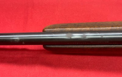 Winchester Model 77 Semi Auto .22LR - Image 12 of 25