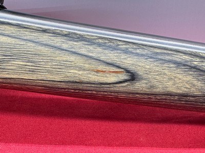 Ruger Model 10/22 Carbine .22LR green laminate stock - Image 16 of 22
