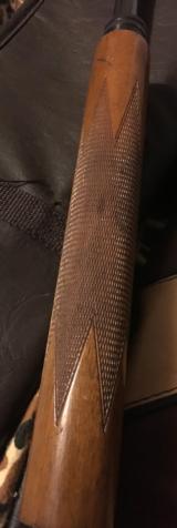 Browning Sweet Sixteen - 3 of 8