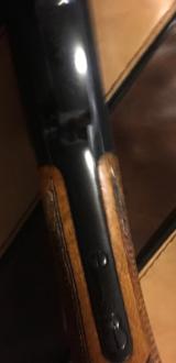 Browning Sweet Sixteen - 8 of 8