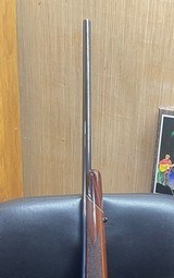 Colt JP Sauer and Sons Magnum (7 mag, Woodstock)