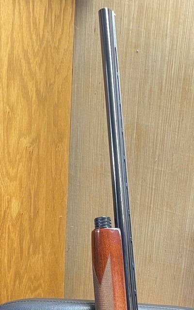 Browning Gold 12 gauge (VR, blue, IC)