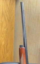 Browning Gold 12 gauge (VR, blue, IC)