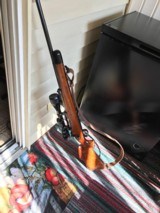 Mauser 8MM- Enfield 303 British - 14 of 14