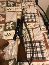 Browning BLR -81 in rare .284 Winchester - 3 of 9