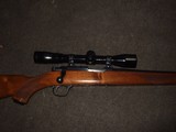 Ruger 77/22 - 10 of 10