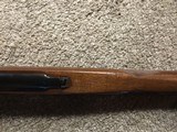 Ruger m77 22-250 - 12 of 15