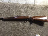 Ruger m77 22-250 - 1 of 15