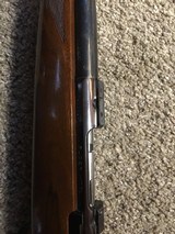 Ruger m77 22-250 - 15 of 15