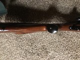 Winchester model 70 xtr - 6 of 15