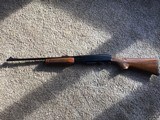 Remington 760
243cal. First year - 12 of 15