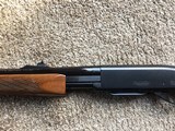 Remington 760
243cal. First year - 2 of 15