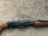 Remington 760
243cal. First year - 13 of 15