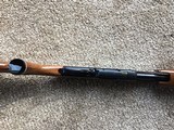 Remington 760
243cal. First year - 4 of 15