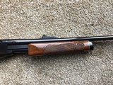 Remington 760
243cal. First year - 15 of 15