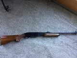 Remington 7600
Rare 243 - 1 of 10