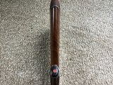 Ruger Red Label 12 ga - 9 of 14