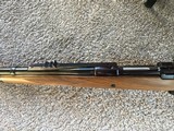 Ruger M77 375 H&H Magnum. LNIB - 8 of 15