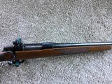 Sako L579
Befors Steel. 243 cal - 11 of 11