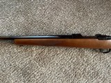 Ruger M77Red Pad22-250Heavy Barrel - 12 of 13