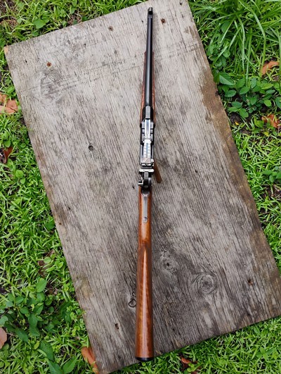 Mauser C96 Carbine - Image 7 of 8