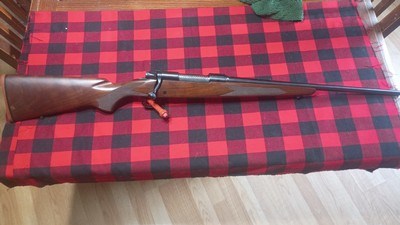 Winchester model 70 lightweight Rare Carbine 20