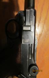 194042 German Luger - 5 of 5