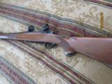 Ruger M77 300 Win Mag. - 1 of 8